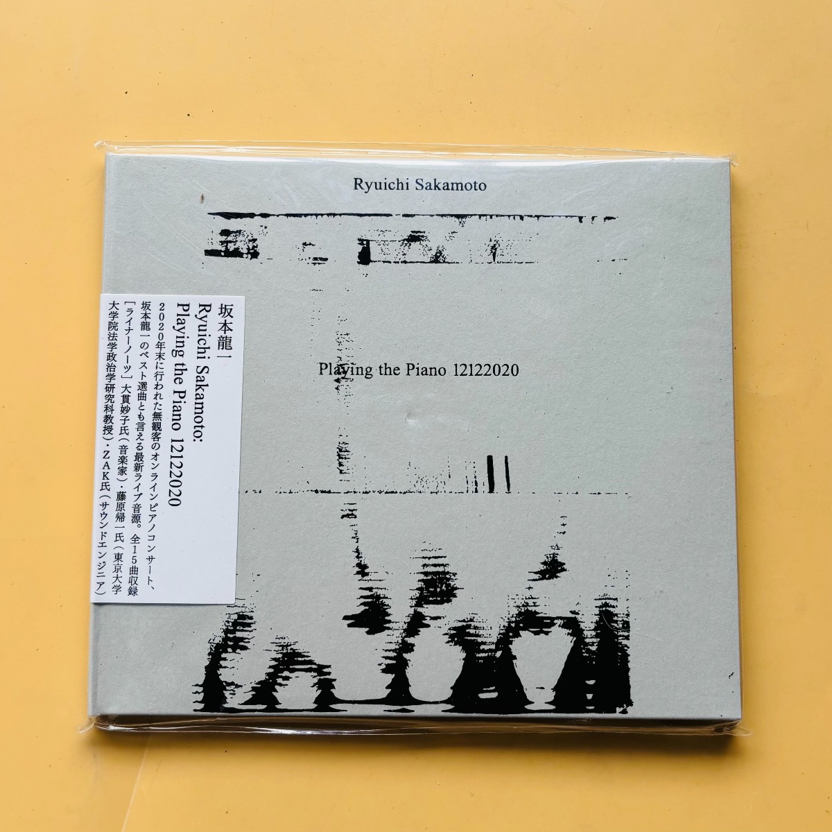 Ryuichi Sakamoto Playing The P - Musical Instrument Piano recensie en prijs