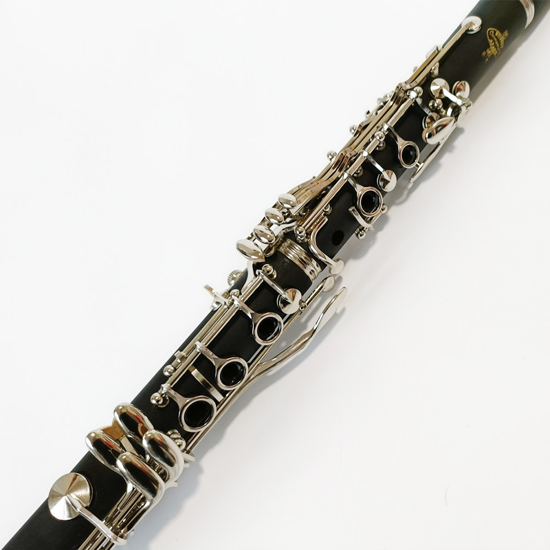 Brand Buffet Crampon Prodige B - Musical Instrument Brands recensie en prijs