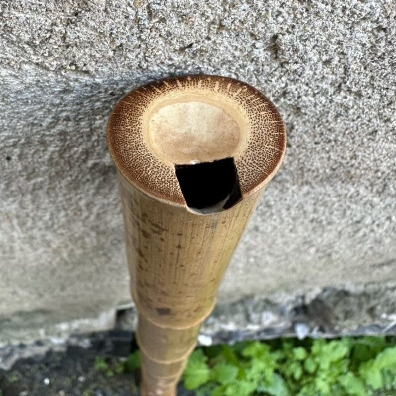 8 Holes Chinese Vertical Bambo - Shakuhachi Bamboo Flute recensie en prijs