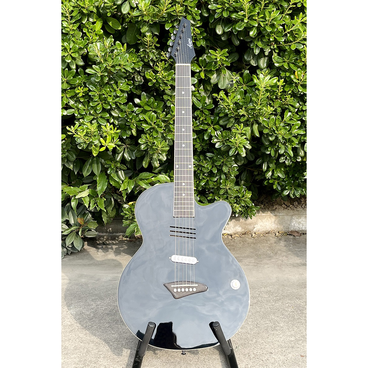Acoustic Electric Guitar With  - Musical Instrument Logo recensie en prijs