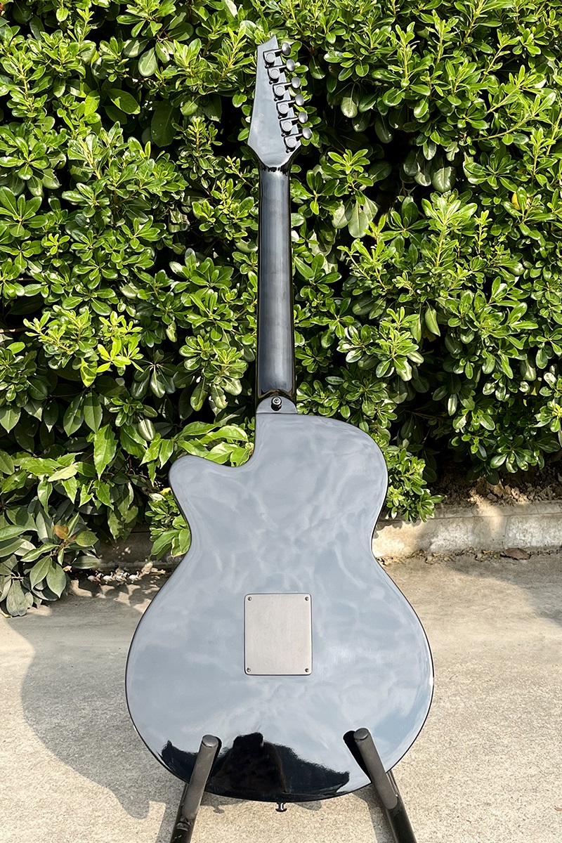 Acoustic Electric Guitar With  - Musical Instrument Logo recensie en prijs