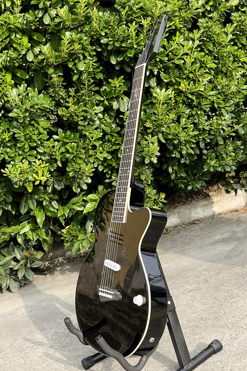 Acoustic Electric Guitar With  - Musical Instrument Logo recensie en prijs