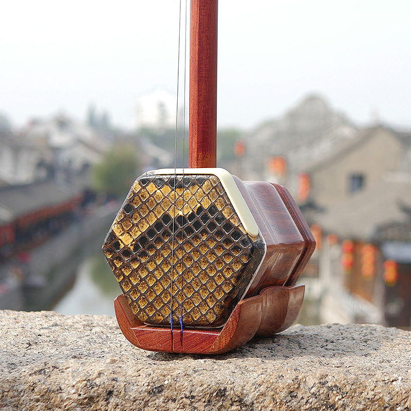 Professional Dunhuang Brand 06 - Musical Instrument Brands recensie en prijs