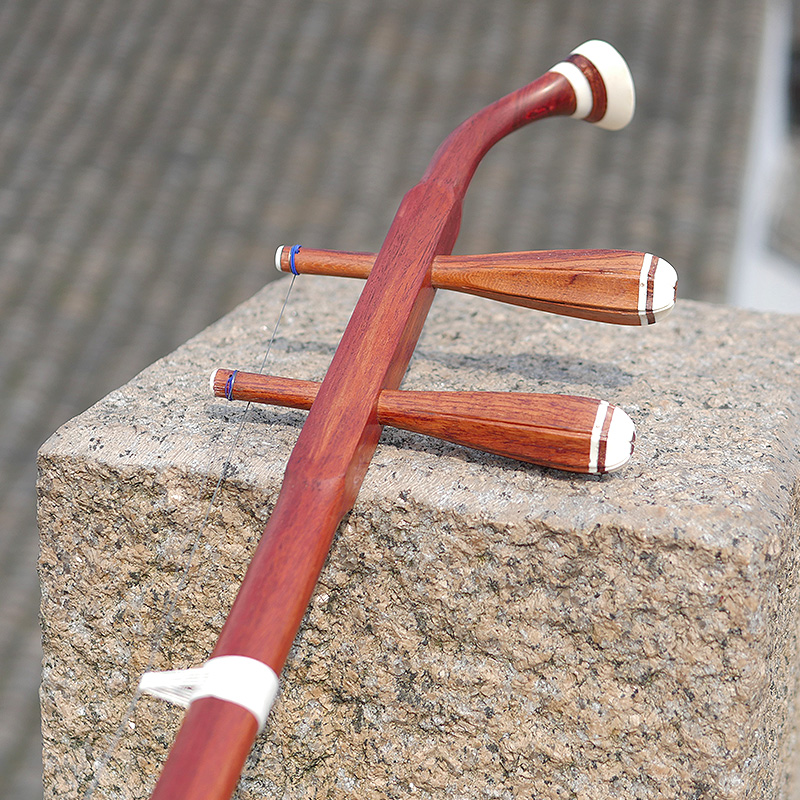Professional Dunhuang Brand 06 - Musical Instrument Brands recensie en prijs