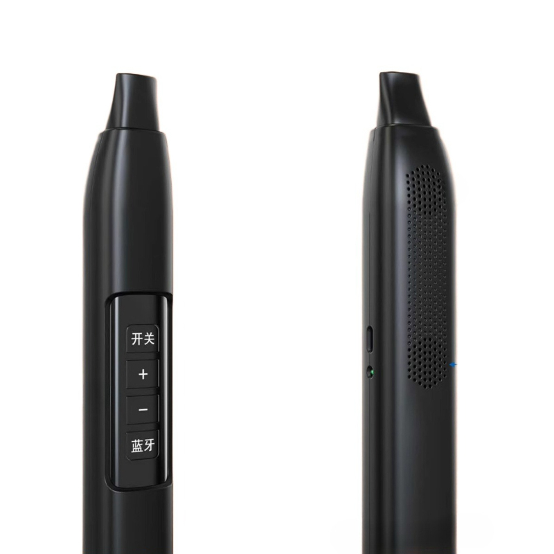 Portable Electronic Wind Instr - Musical Instrument Saxophone recensie en prijs