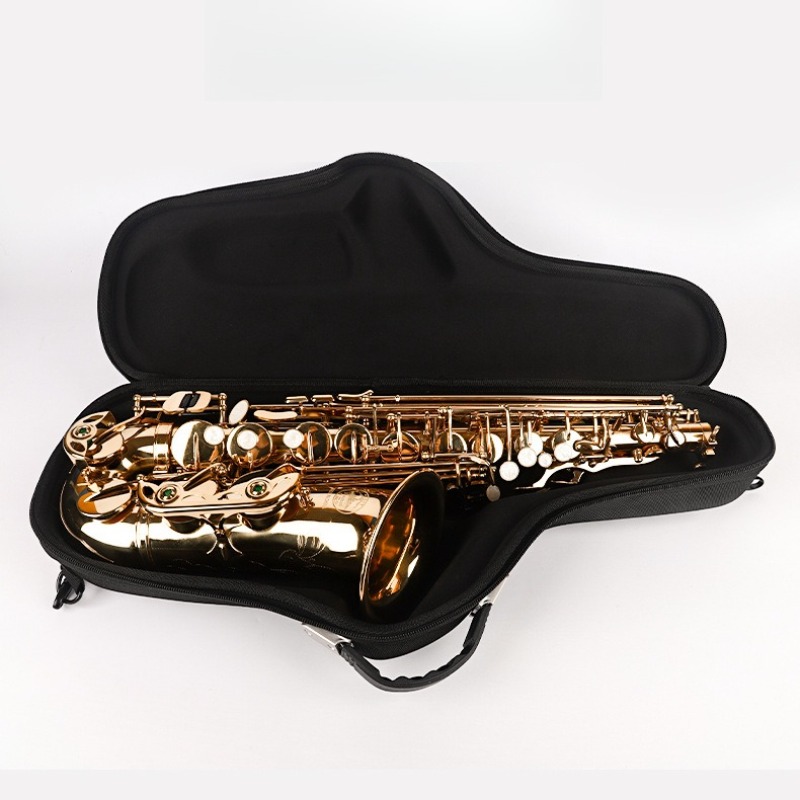 Oxford Cloth Alto Saxophone Ba - Musical Instrument Saxophone recensie en prijs