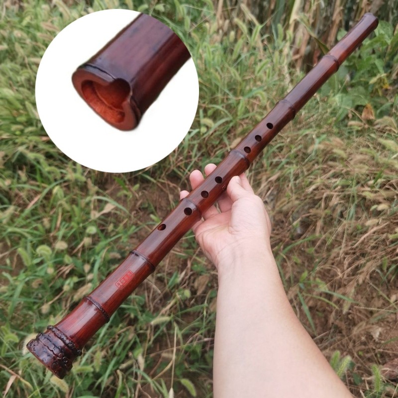 8 Hole Xiao Adult Beginners Ch - Shakuhachi Bamboo Flute recensie en prijs
