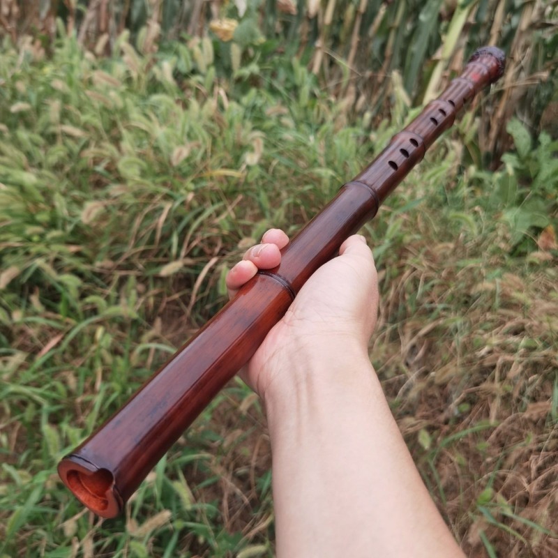 8 Hole Xiao Adult Beginners Ch - Shakuhachi Bamboo Flute recensie en prijs