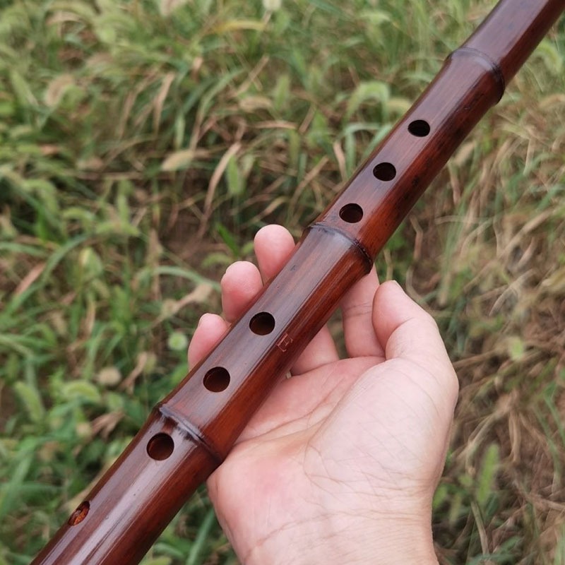 8 Hole Xiao Adult Beginners Ch - Shakuhachi Bamboo Flute recensie en prijs