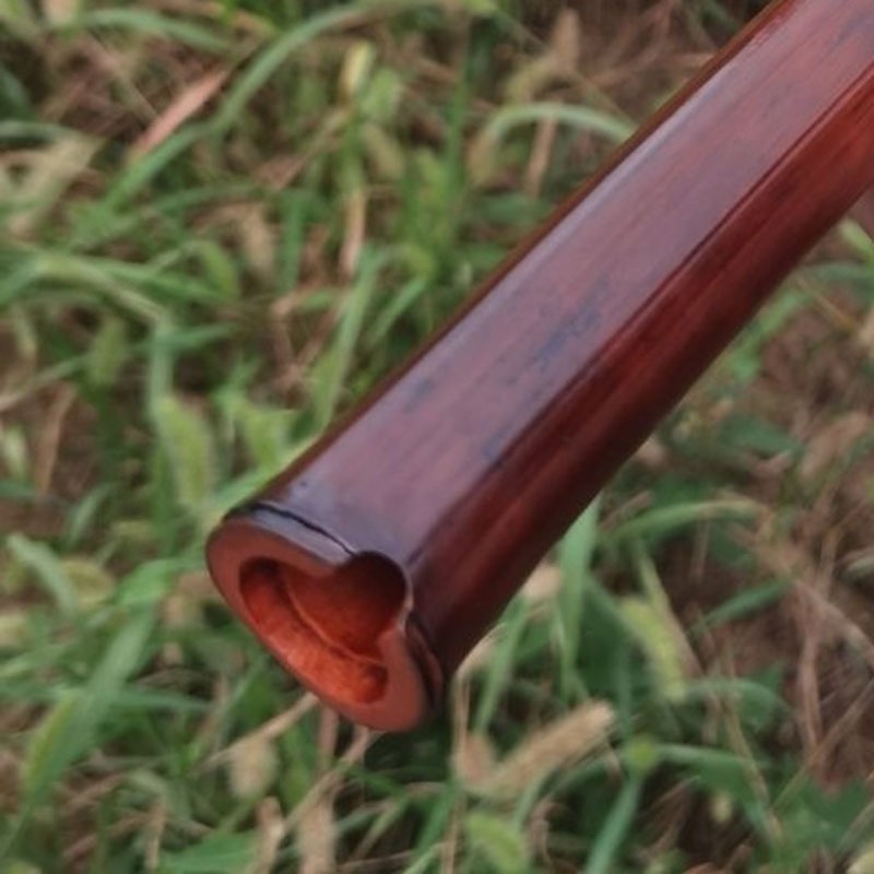 8 Hole Xiao Adult Beginners Ch - Shakuhachi Bamboo Flute recensie en prijs