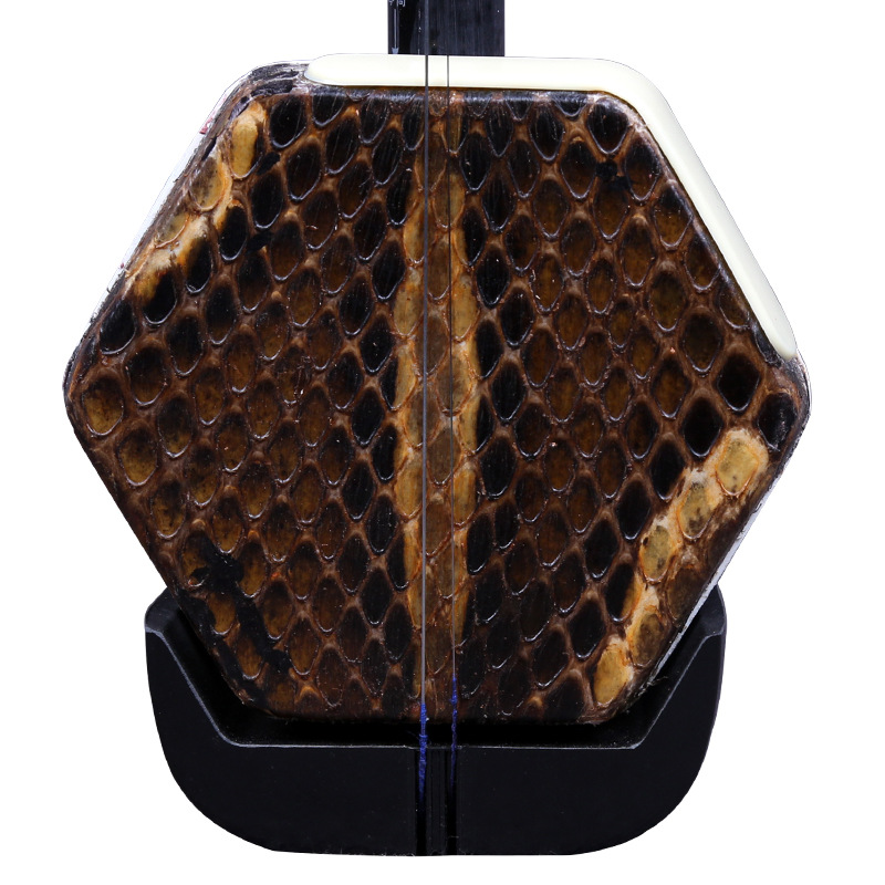 Dunhuang Brand Erhu 02A Lignum - Musical Instrument Brands recensie en prijs