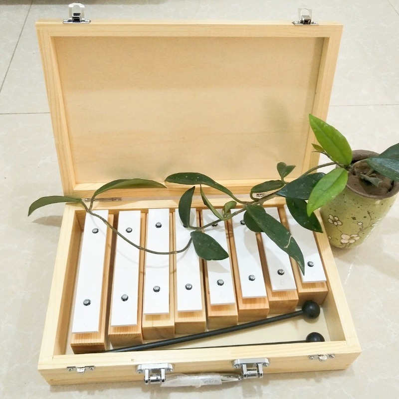 8 Tone Sound Brick with Wooden - Celesta Musical Instrument recensie en prijs