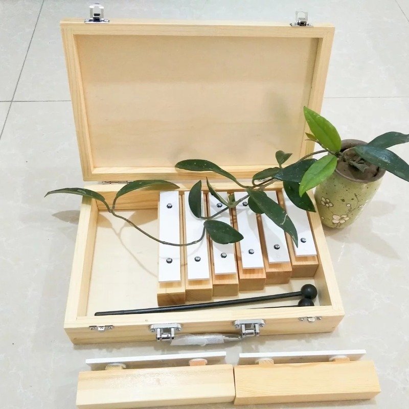 8 Tone Sound Brick with Wooden - Celesta Musical Instrument recensie en prijs