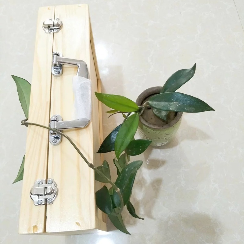 8 Tone Sound Brick with Wooden - Celesta Musical Instrument recensie en prijs