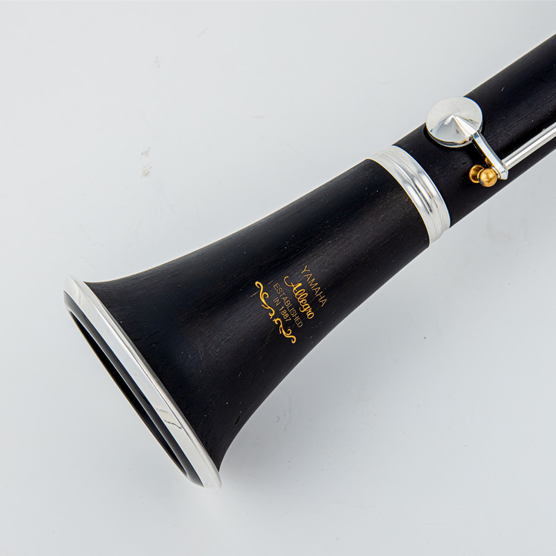 Japan Brand New Professional W - Musical Instrument Brands recensie en prijs