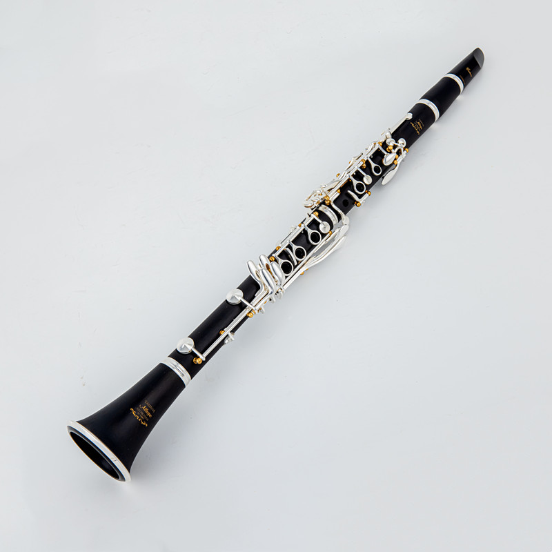 Japan Brand New Professional W - Musical Instrument Brands recensie en prijs