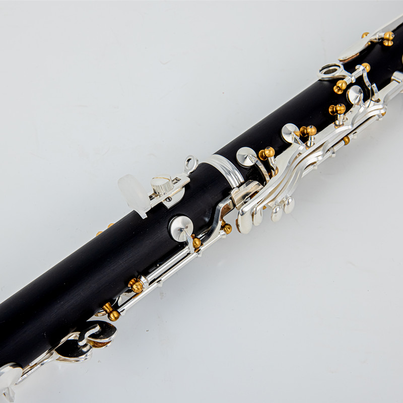 Japan Brand New Professional W - Musical Instrument Brands recensie en prijs