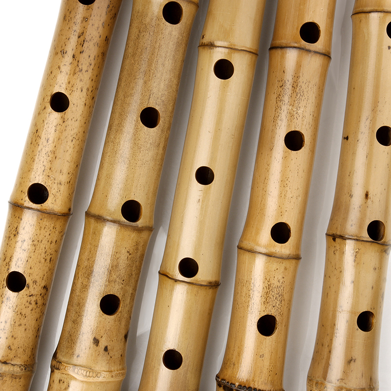 Vertical Bamboo Flute with Sha - Shakuhachi Bamboo Flute recensie en prijs